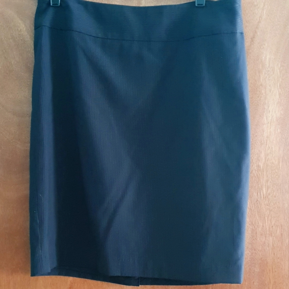 The Limited skirt